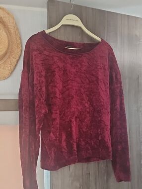 We The Free Crushed Velvet Crewneck in Wine